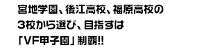 宮地学園、後江高校、福原高校の3校から選び、目指すは「VF甲子園」制覇!!