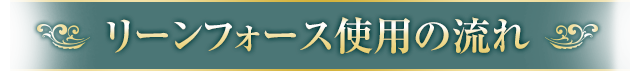 リーンフォース使用の流れ