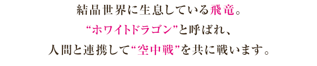 飛竜の説明