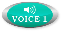 voice01