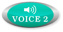 voice02