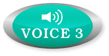 voice03