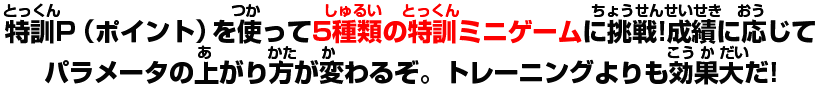 特訓ポイントを使って5種類の特訓ミニゲームに挑戦!成績に応じてパラメータの上がり方が変わるぞ。トレーニングよりも効果大だ!