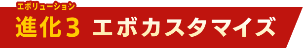 進化３ エボカスタマイズ