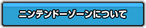 ニンテンドーゾーンについて