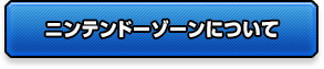 ニンテンドーゾーンについて