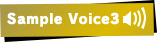 Sample Voice3