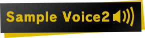 Sample Voice2