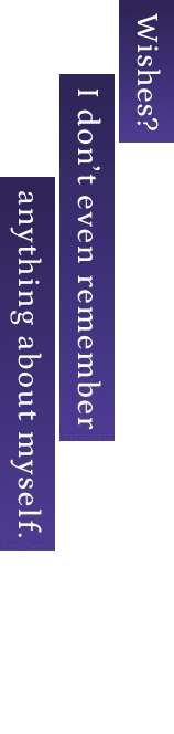 Wishes? I don’t even remember anything about myself.