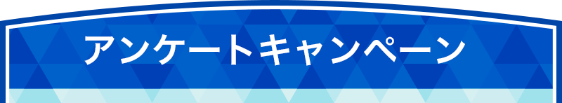 アンケートキャンペーン