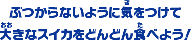 ぶつからないように気をつけて大きなスイカをどんどん食べよう！