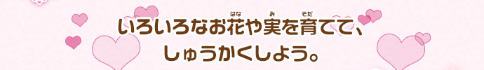 いろいろなお花や実を育てて、しゅうかくしよう。