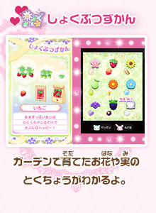 しょくぶつずかん/