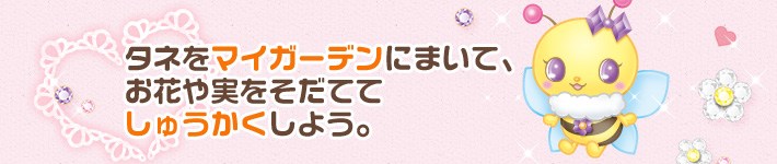 タネをマイガーデンにまいて、お花や実をそだててしゅうかくしよう。