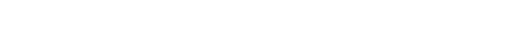 Team Noirは