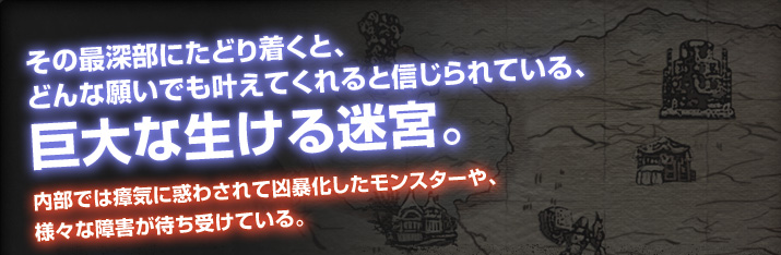 その最深部にたどり着くと、
どんな願いでも叶えてくれると信じられている、
巨大な生ける迷宮。
内部では瘴気に惑わされて凶暴化したモンスターや、
様々な障害が待ち受けている。