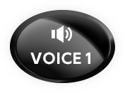 voice01