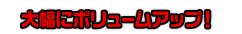 大幅にボリュームアップ！