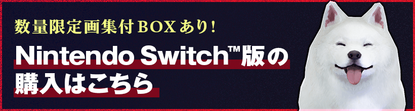 数量限定画集付BOXあり！ Switch版の購入はこちら